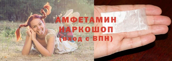 индика Армянск
