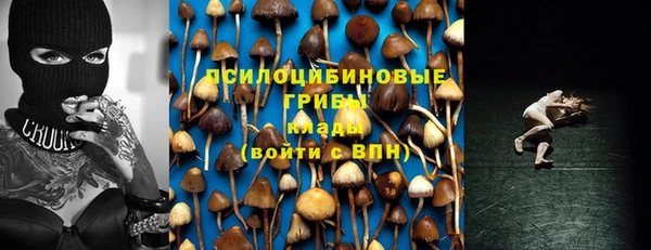 mix Аркадак