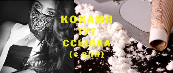 индика Армянск