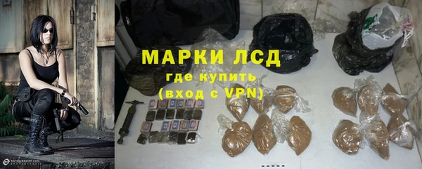 индика Армянск