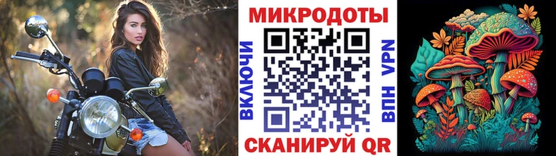 Купить закладки  Старица  Псилоцибиновые грибы ЛСД 